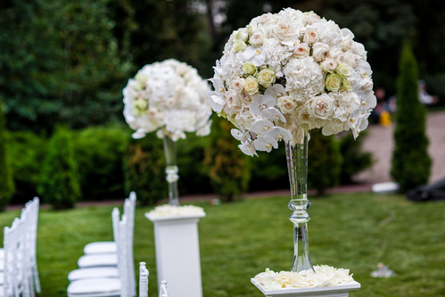 Align Designs & Photo Booths