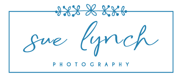 sue lynch photography