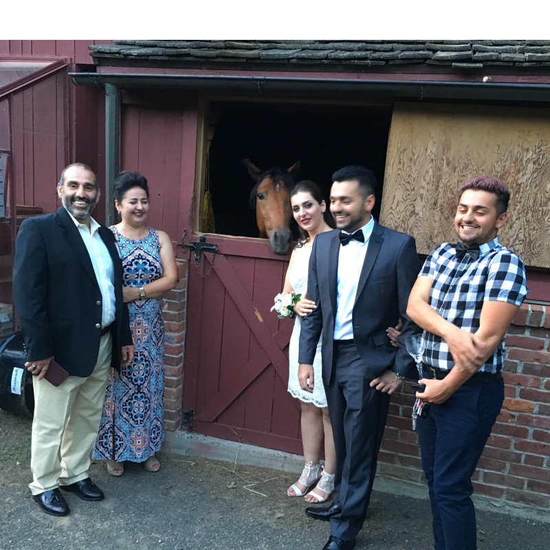 Steven Mitchell JP Weddings