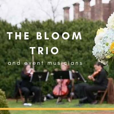The Bloom Trio and Event Musicians
