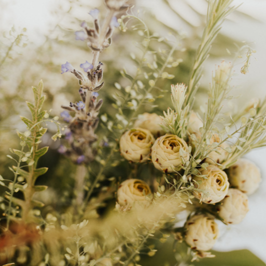 Roots & Wings Floral