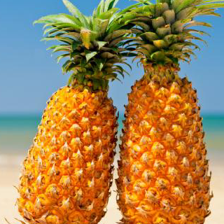 Ohana Sunscapes, LLC