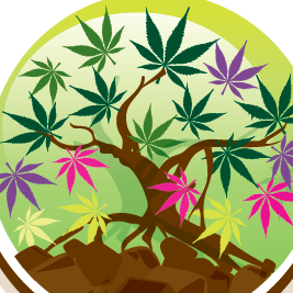 Cannaflage Designs