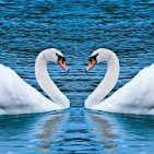 Mindful Wedding Officiants