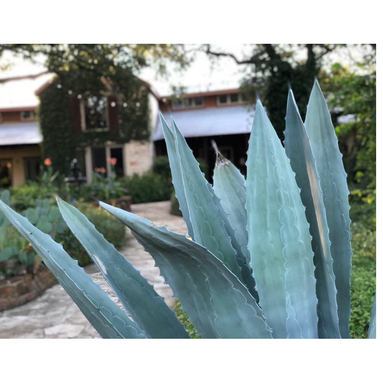 Hudson Bend Ranch