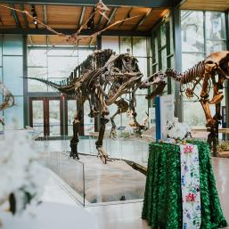Witte Museum
