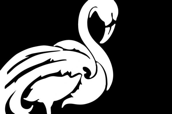 Flamingo Studios