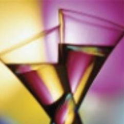 WeTendBar Professional Bartending Service