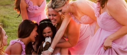 Bliss Wedding Nuptials
