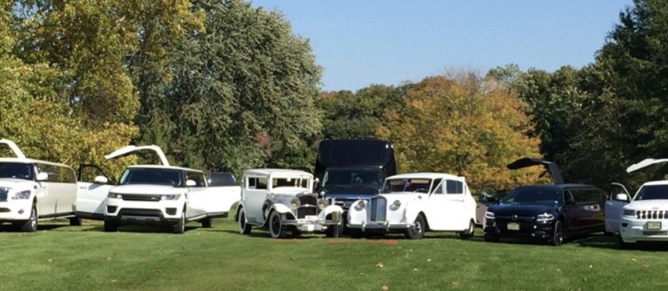 D&G LIMOUSINE
