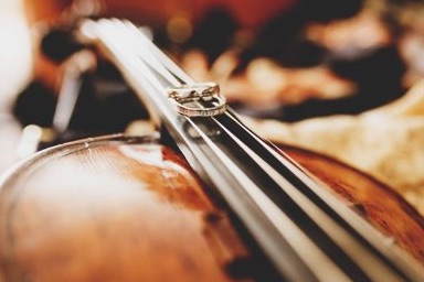 Ovation Strings