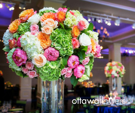 Ottawa Flowers Inc.