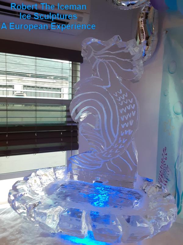 2 block design with mermaid and clamshell